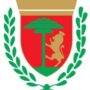 Comune Di Sanremo